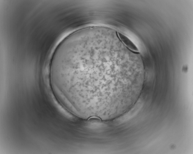 X0000103321100200809192134