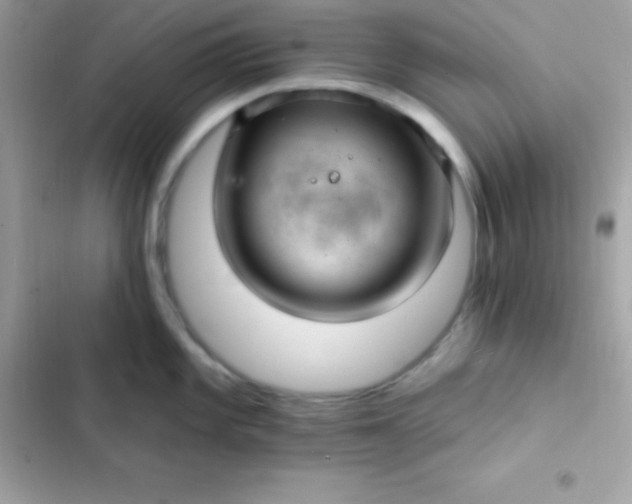 X0000103321101200809192134