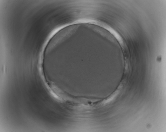 X0000103321102200809192134