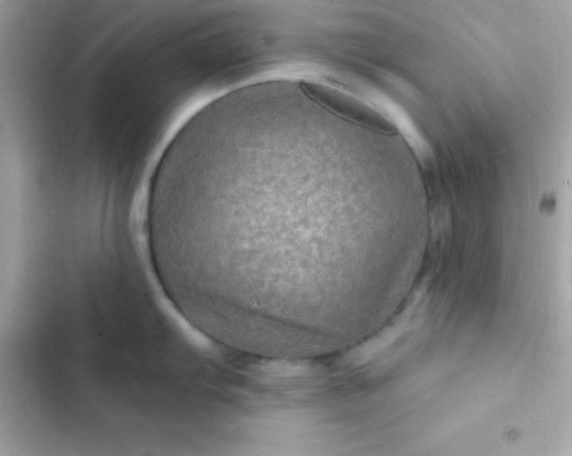 X0000103321103200809192134