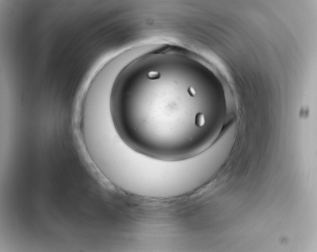 X0000103321104200809192134