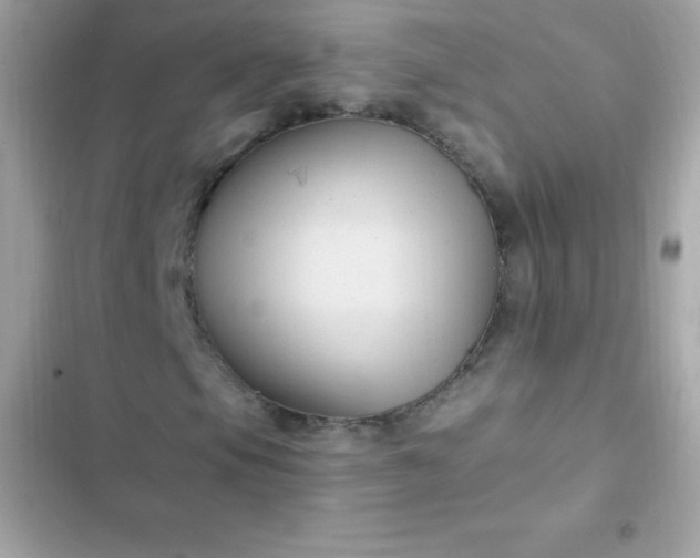 X0000103321105200809192133