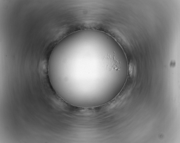 X0000103321107200809192133