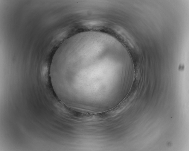 X0000103321108200809192133