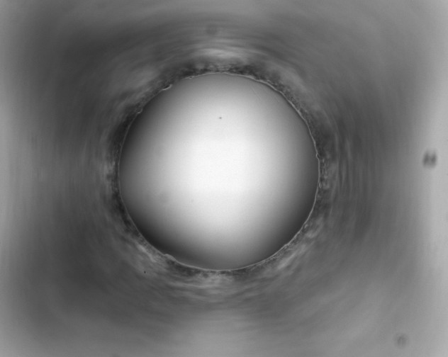 X0000103321109200809192133