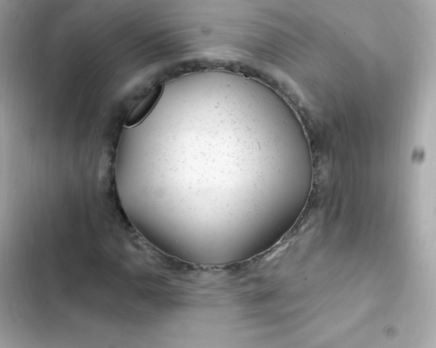 X0000103321110200809192133