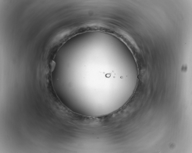 X0000103321111200809192133