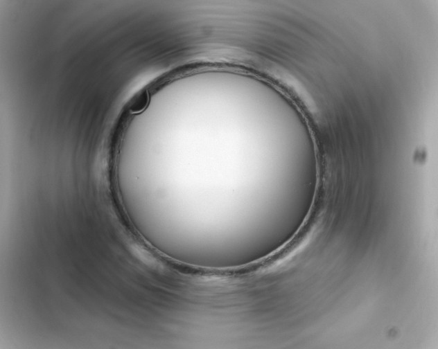 X0000103321114200809192133