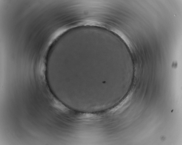 X0000103321115200809192133