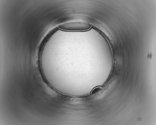 X0000103321116200809192133