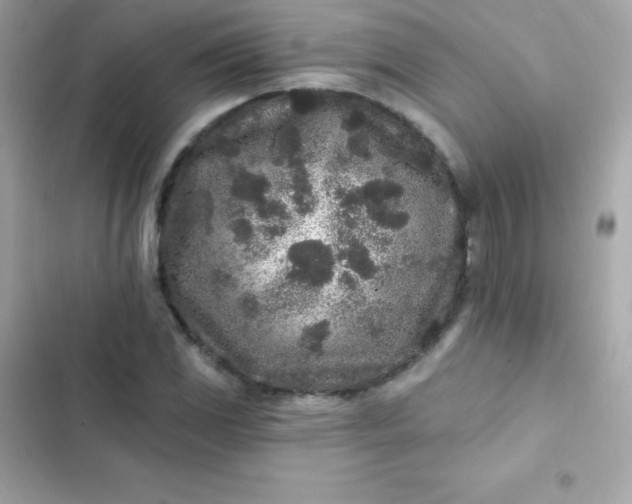 X0000103321117200809192133