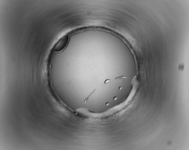 X0000103321118200809192133