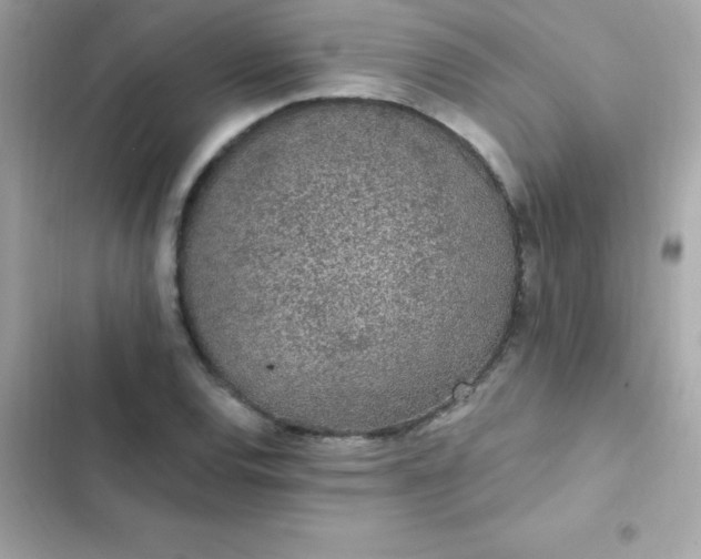 X0000103321120200809192133