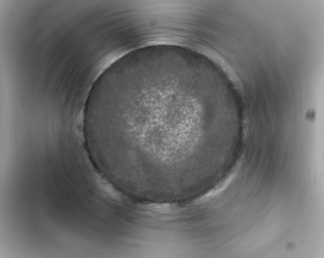 X0000103321121200809192133