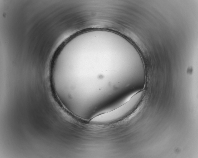 X0000103321122200809192133