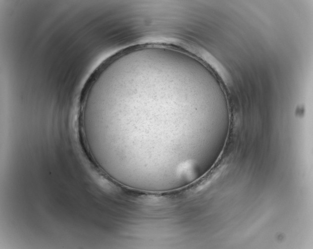 X0000103321124200809192133