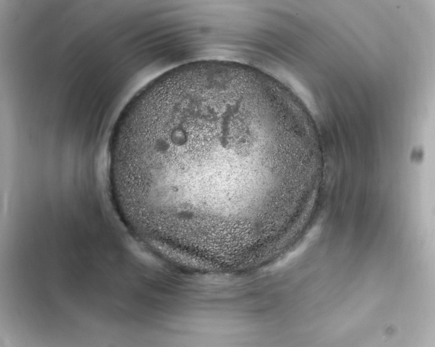 X0000103321125200809192133