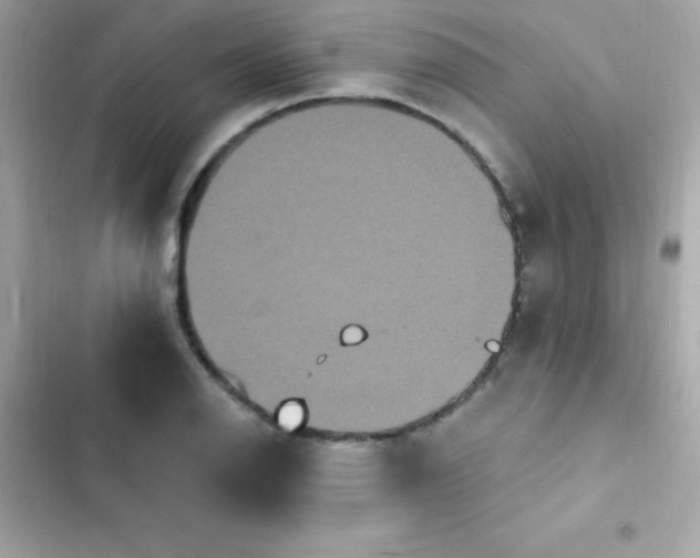 X0000103321126200809192133