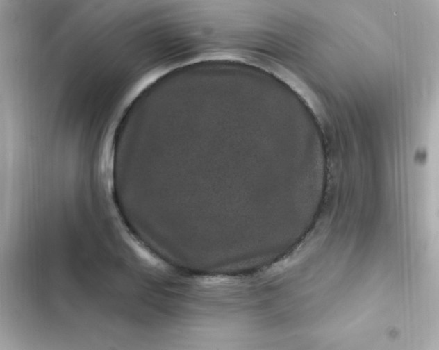 X0000103321127200809192133