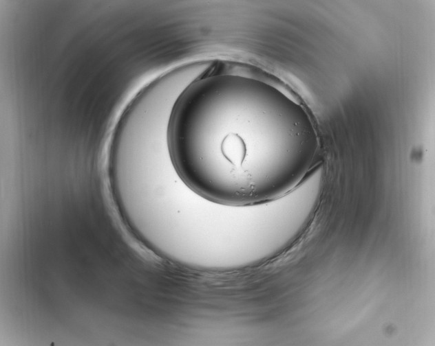 X0000103321128200809192133