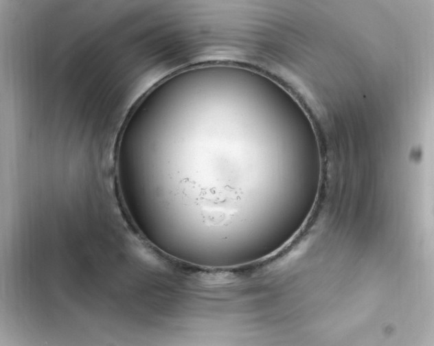 X0000103321129200809192133