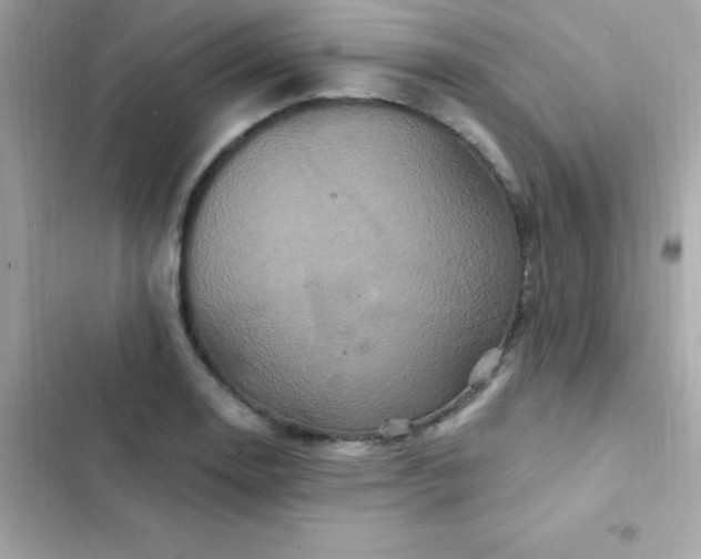 X0000103321130200809192134