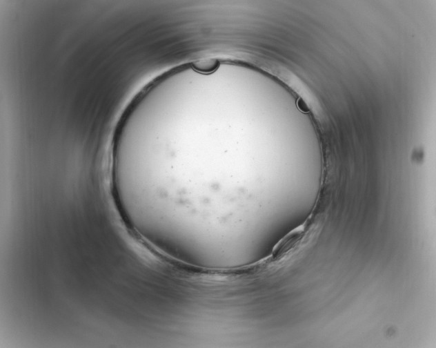 X0000103321132200809192134