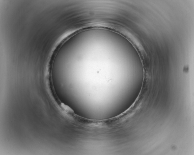 X0000103321133200809192134