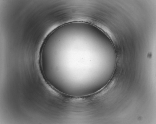 X0000103321135200809192134