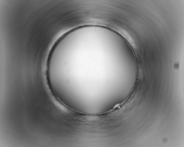 X0000103321136200809192134