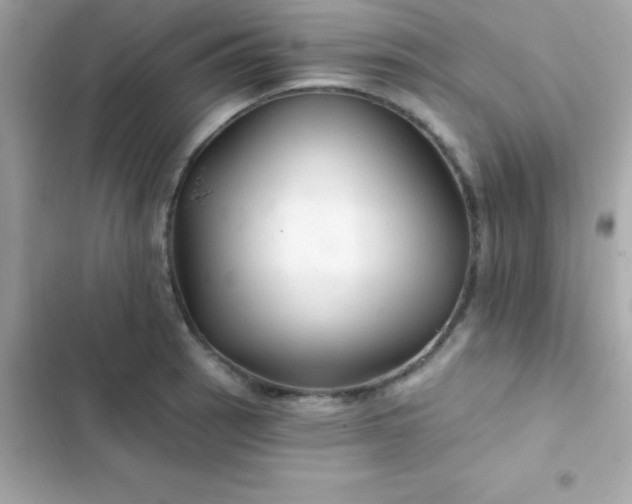 X0000103321137200809192134