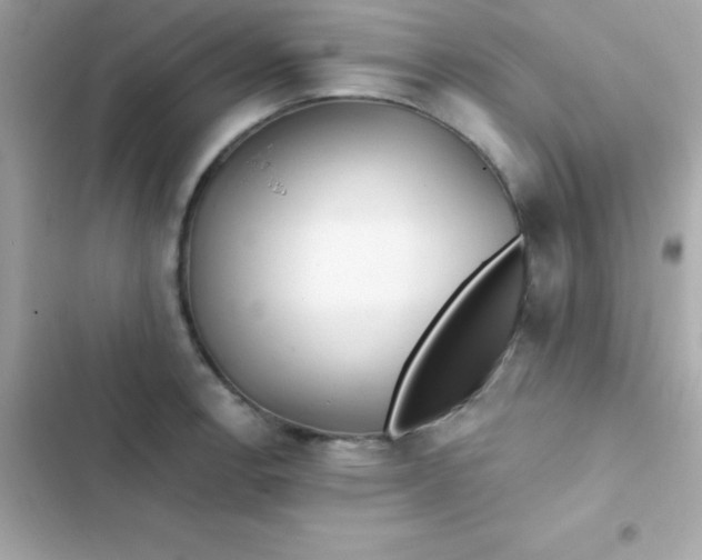 X0000103321138200809192134