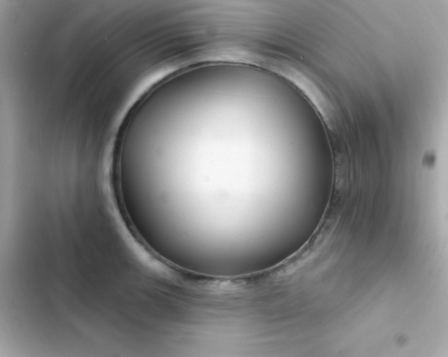 X0000103321139200809192134