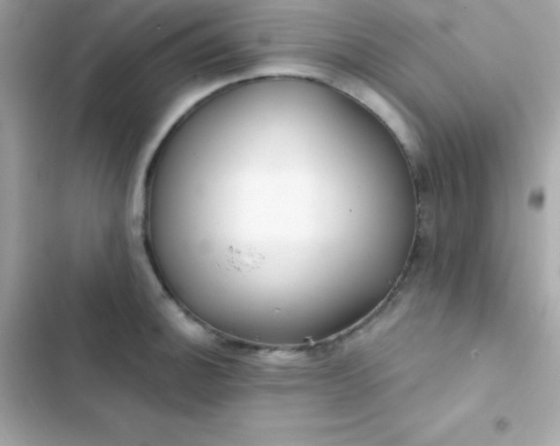 X0000103321140200809192134