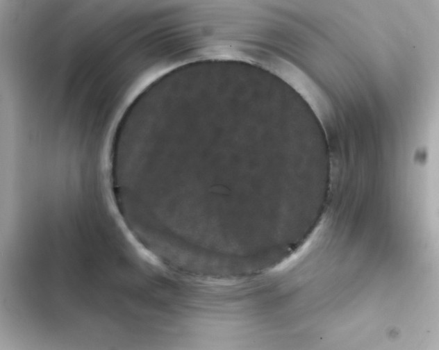 X0000103321141200809192134