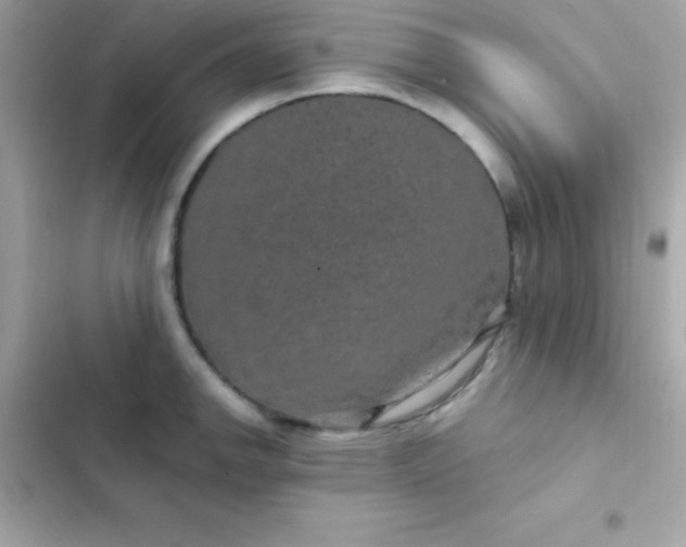 X0000103321142200809192134