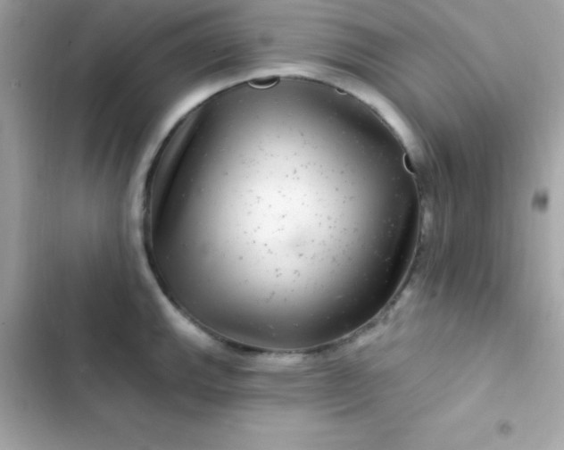 X0000103321143200809192134