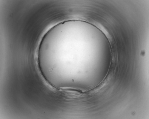 X0000103321144200809192134