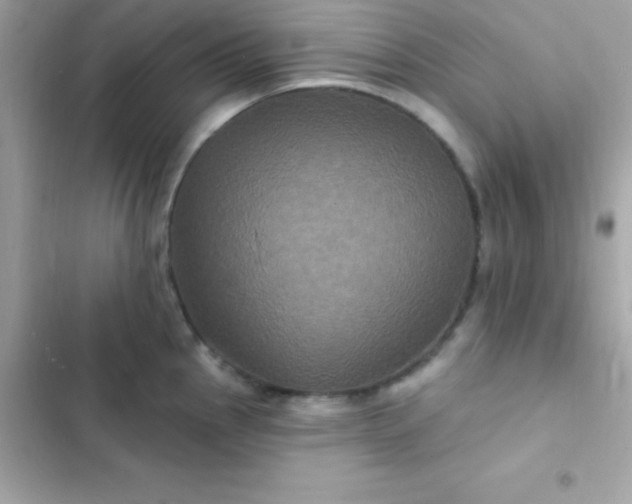 X0000103321145200809192134