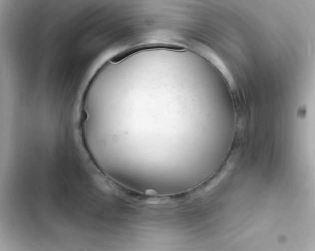 X0000103321146200809192134