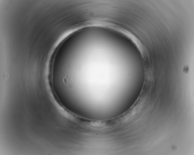 X0000103321147200809192134