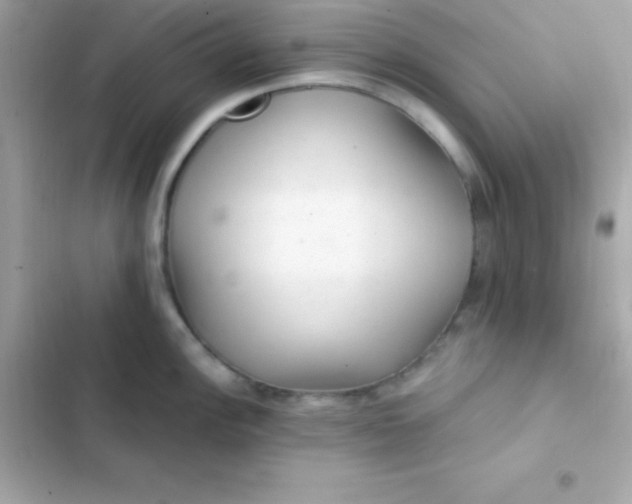 X0000103321148200809192134