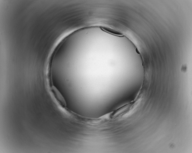 X0000103321149200809192134