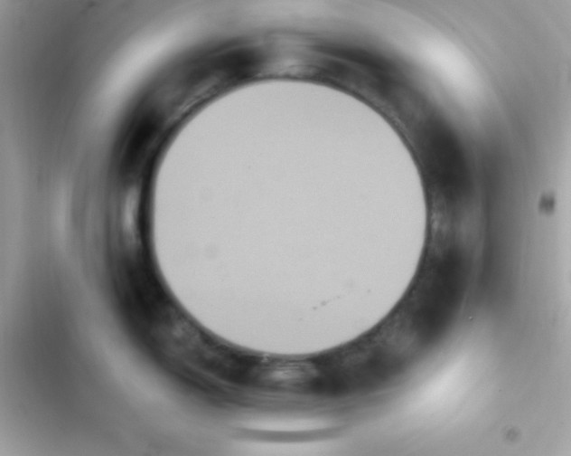 X0000103321150200809192134