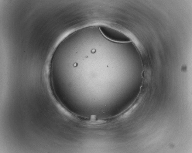 X0000103321151200809192134