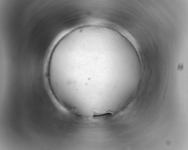 X0000103321152200809192134