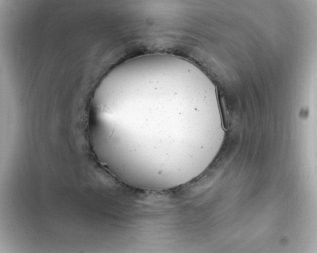 X0000103321153200809192133