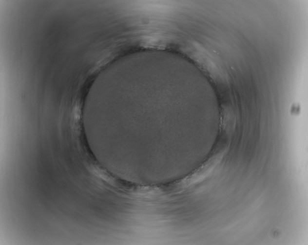 X0000103321154200809192133