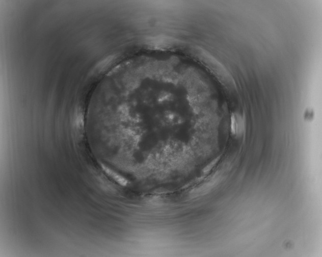 X0000103321155200809192133