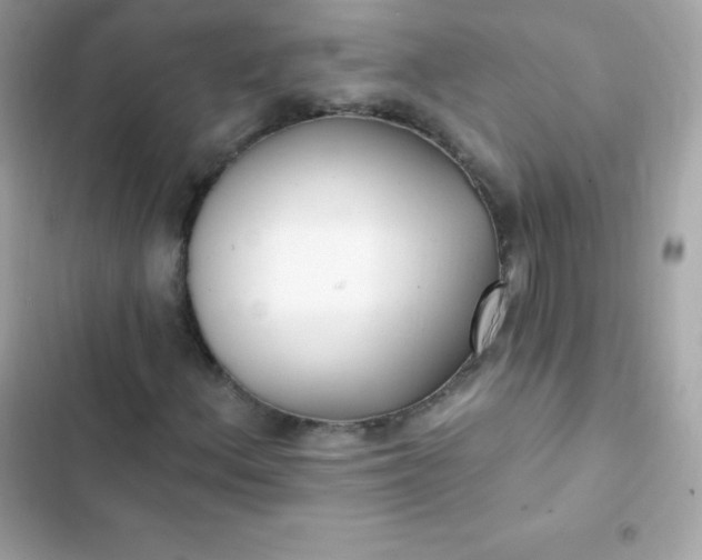 X0000103321156200809192133